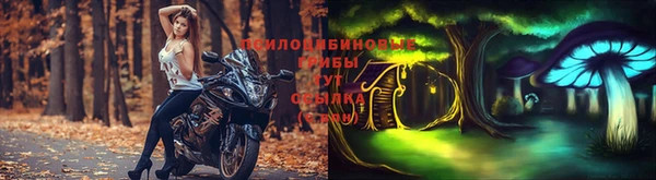 мдма Тавда