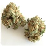 Шишки "White Widow"  (Белая вдова)  Гидропоника -  Бошка VHQ в Урене